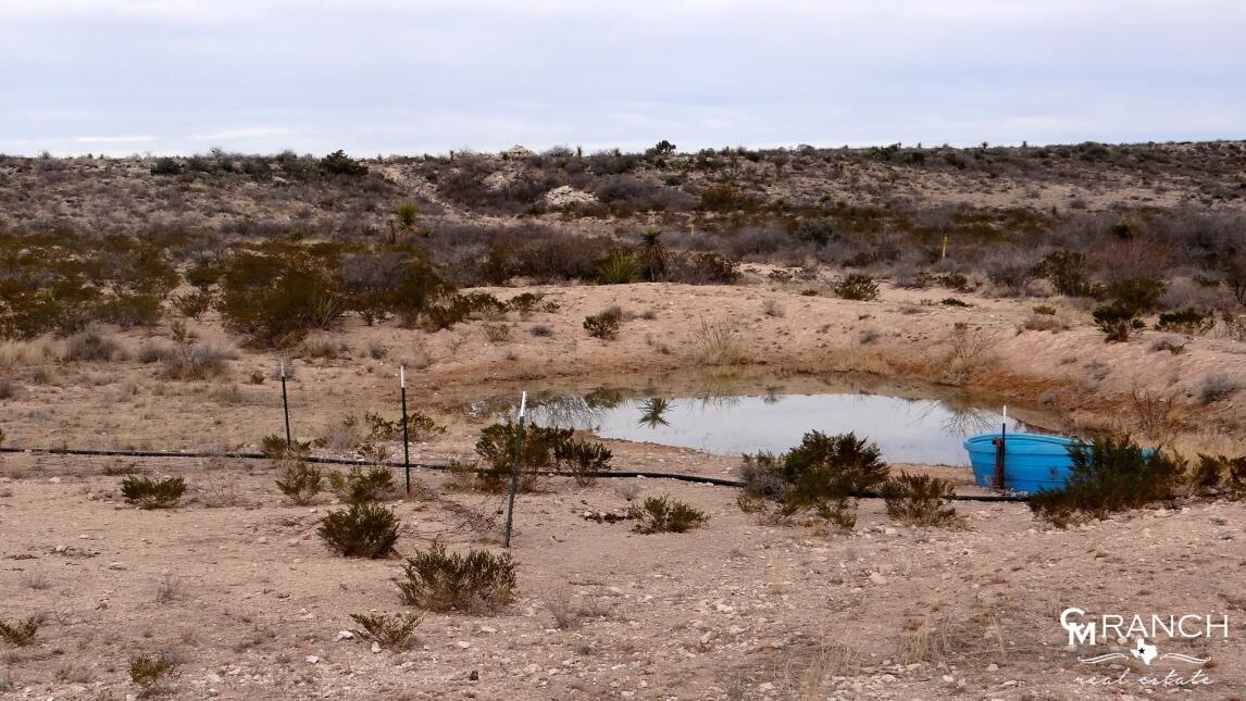 Pecos County Ranch for Sale in Ft. Stockton Farm & Ranch