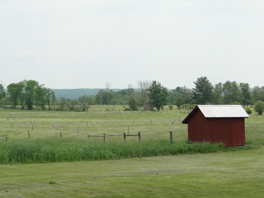 Gordon Farms Certified Organic Beef Cattle Farm for Sale in Knox