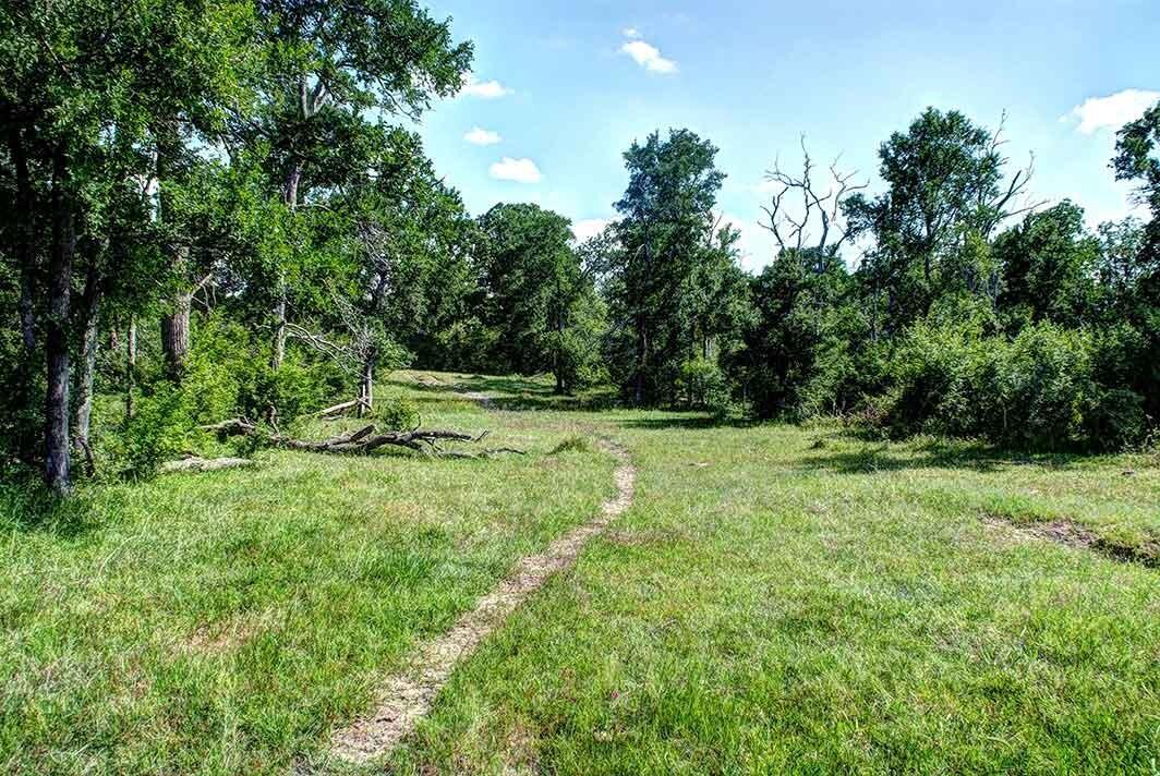 Grimes County Ranch for Sale in Anderson Farm & Ranch