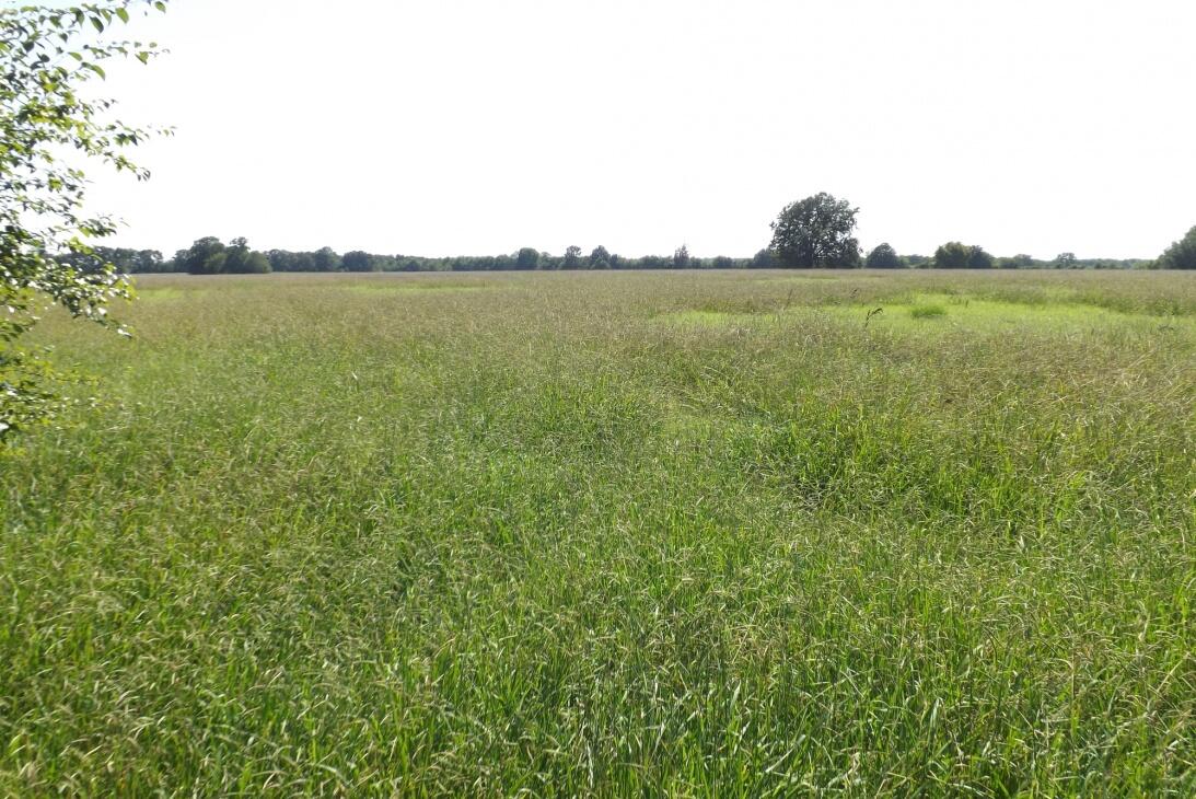 Garvin Ranch 265 SKB for Sale in Garvin, OK McCurtain County Farm