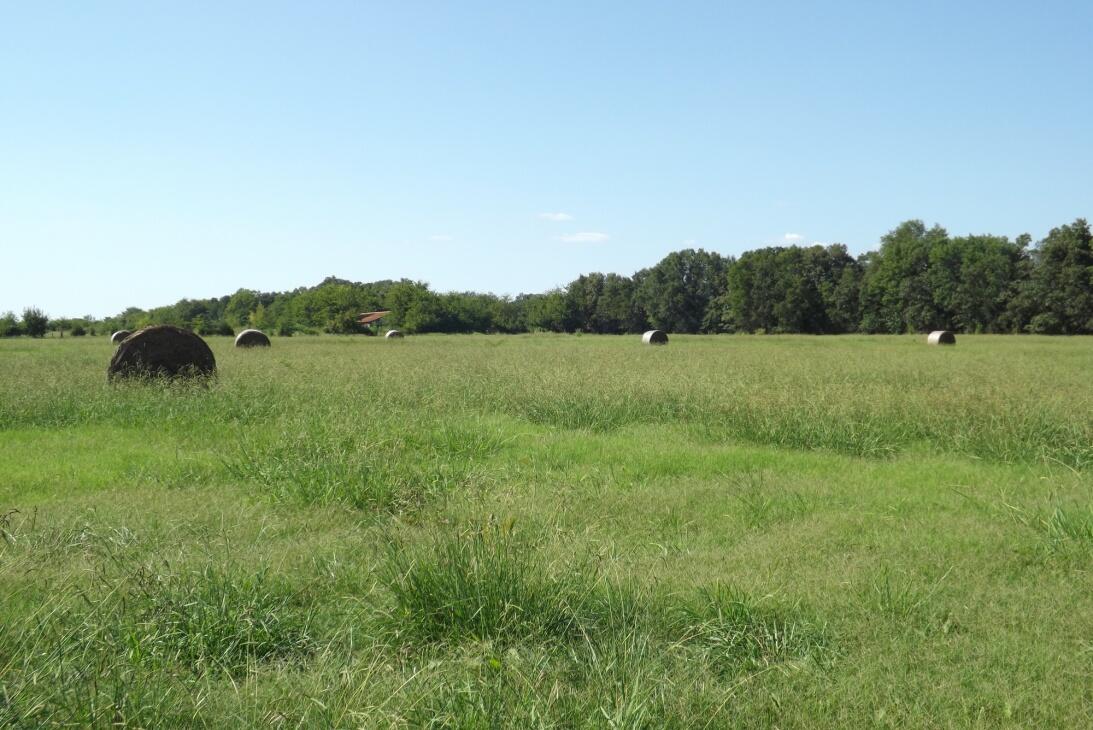 Garvin Ranch 265 SKB for Sale in Garvin, OK McCurtain County Farm