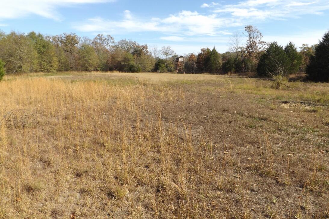 San Bois Hunting 242SKB for Sale in Stigler, OK Haskell County