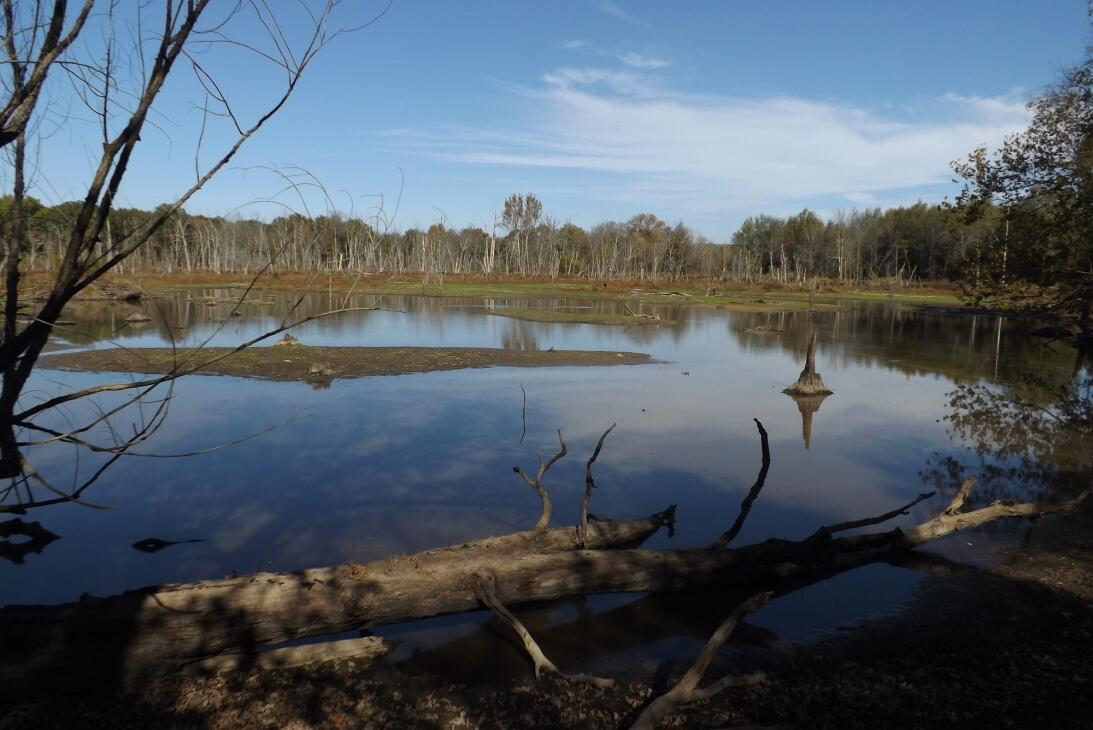 San Bois Hunting 242SKB for Sale in Stigler, OK Haskell County