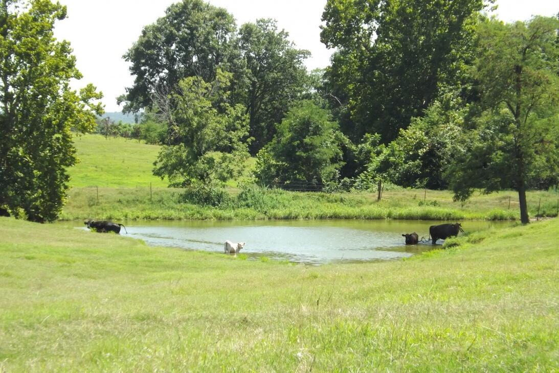 Canadian River Ranch 734SKB for Sale in Eufaula, OK McIntosh County