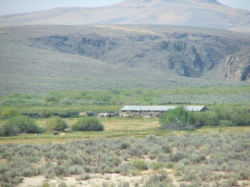 Disaster Peak Cattle Ranch for Sale in McDermitt Farm & Ranch