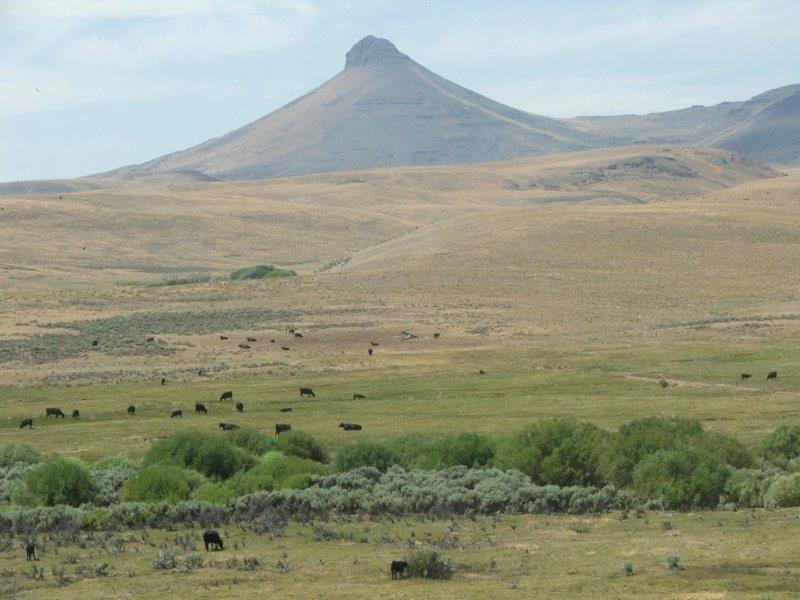 Disaster Peak Cattle Ranch for Sale in McDermitt Farm & Ranch