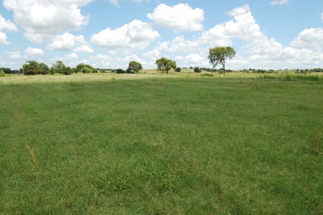 Clarita Farm & Ranch 118ka for Sale in Clarita, OK Coal County