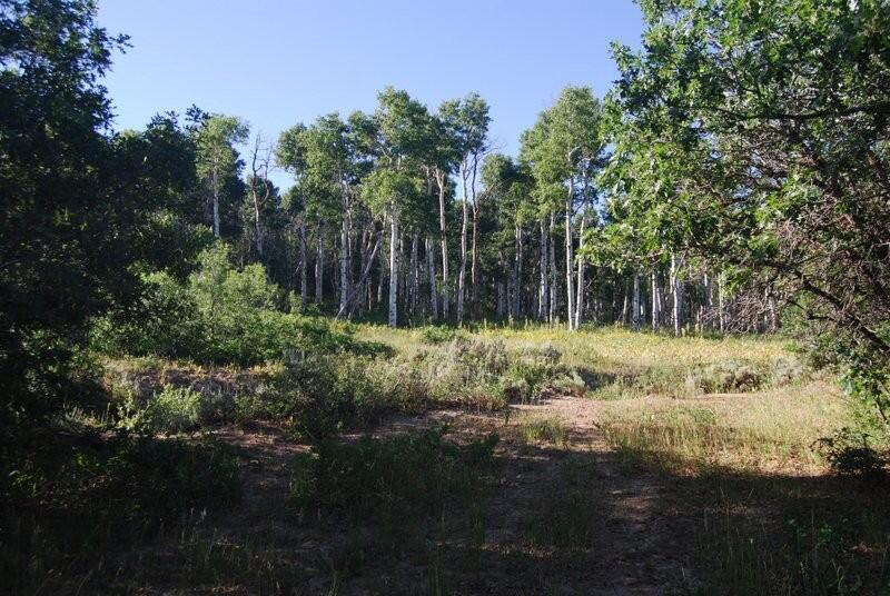 Cow Creek Bluffs Ranch for Sale in Lago Vista Farm & Ranch