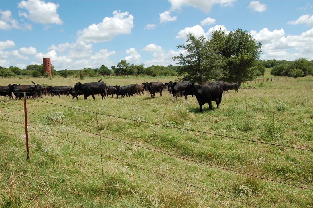 Clarita Farm & Ranch 118ka for Sale in Clarita, OK Coal County