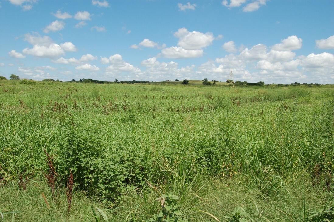 Clarita Farm & Ranch 118ka for Sale in Clarita, OK Coal County