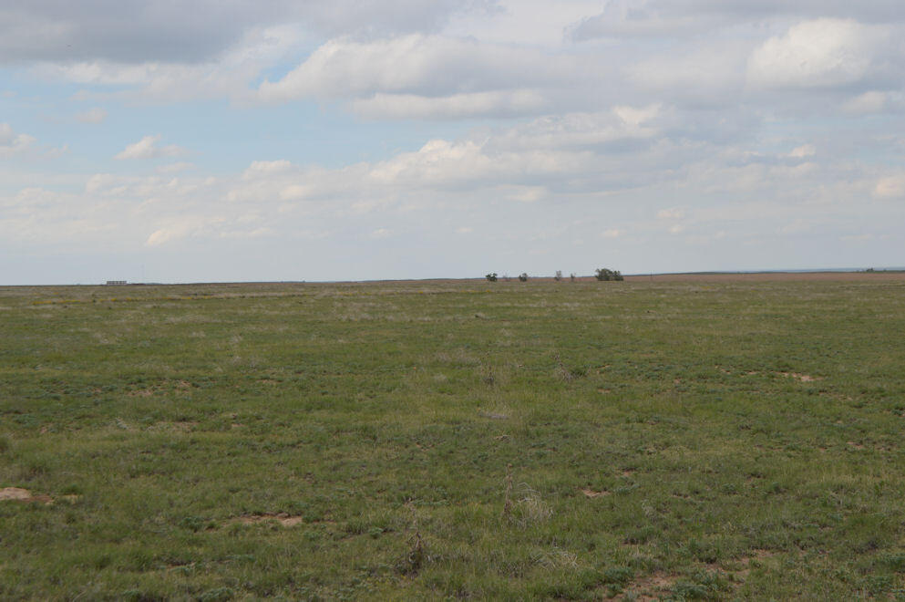 GRASS LAND for Sale in , CO Kiowa County Farm & Ranch