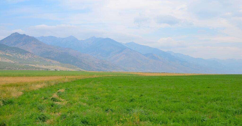 7H Ranch for Sale in Ruby Valley Farm & Ranch