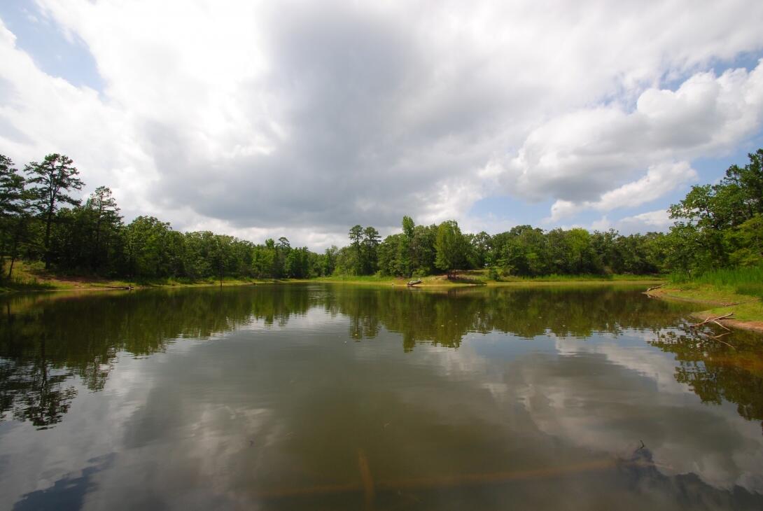 Honey Lake Ranch for Sale in Montalba, TX Anderson County Farm & Ranch