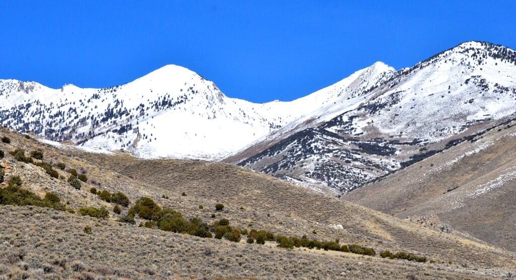 7H Ranch for Sale in Ruby Valley Farm & Ranch