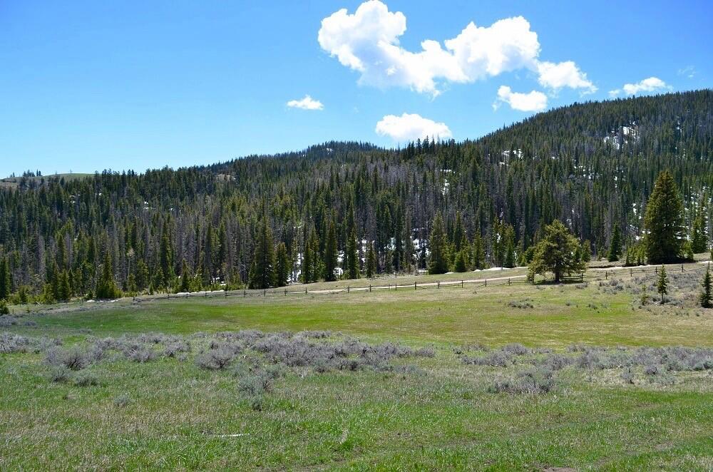 Grass Creek Mountain Property for Sale in Thermopolis, WY Hot Springs County Farm & Ranch