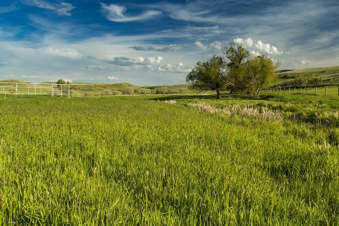 IH Ranch for Sale in Sheridan, WY Sheridan County Farm & Ranch