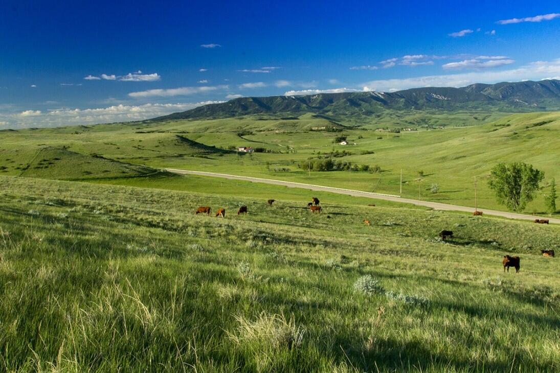 IH Ranch for Sale in Sheridan, WY Sheridan County Farm & Ranch