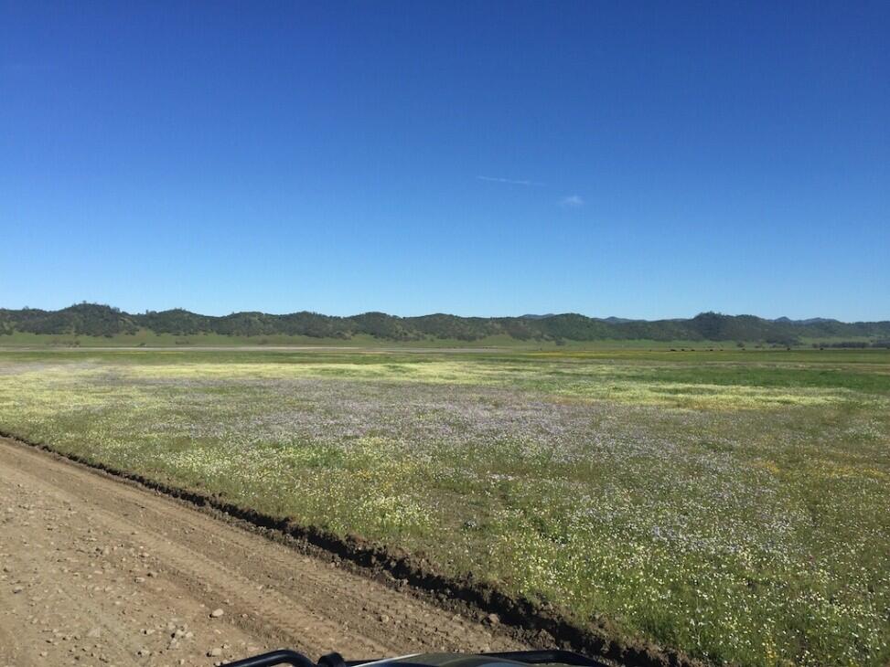 Summertime Fun at Lake Berryessa for Sale in Napa, CA Napa County