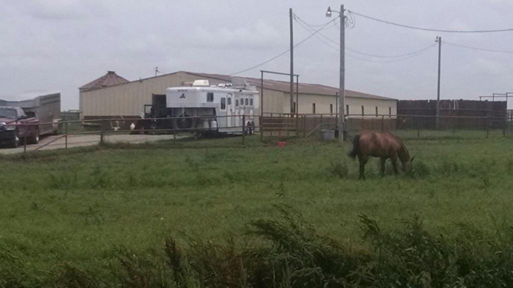 Jefferson Cattle & Horse Ranch 540 & 180rb for Sale in Waurika Farm