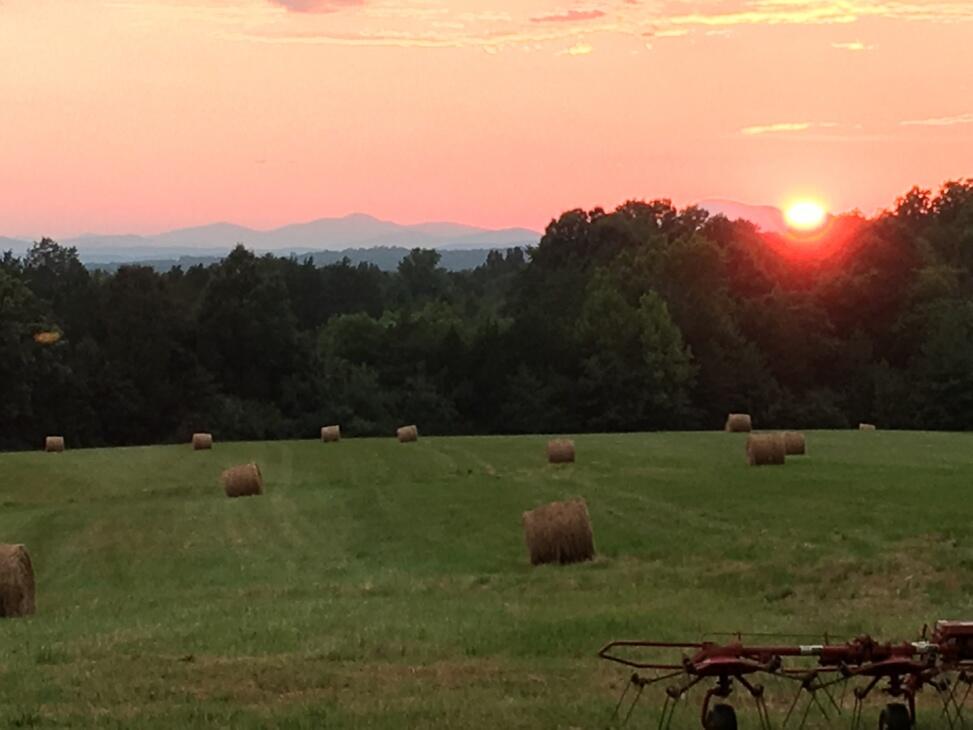 Pollards View Farm for Sale in Scottsville, VA Albemarle County