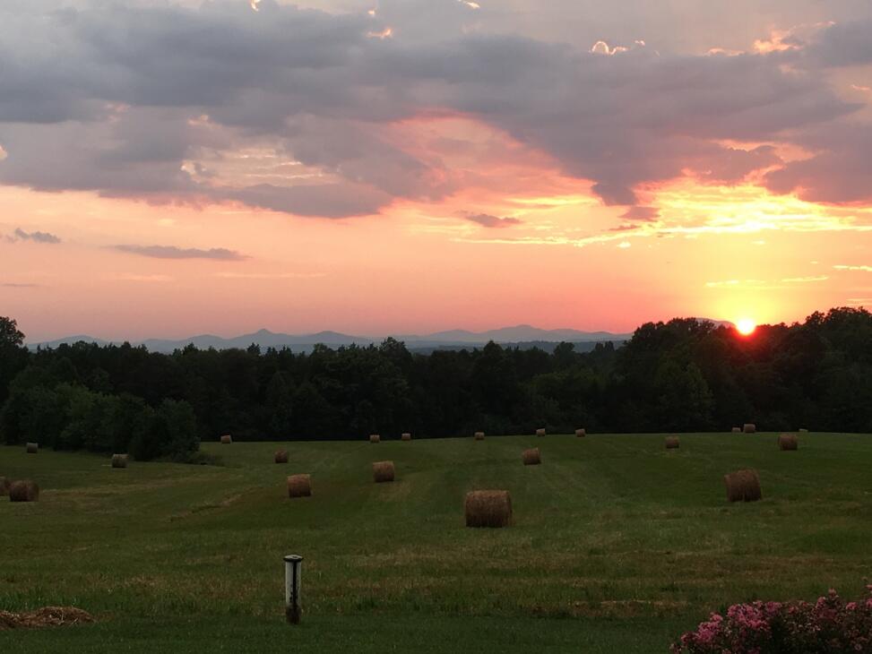 Pollards View Farm for Sale in Scottsville, VA Albemarle County
