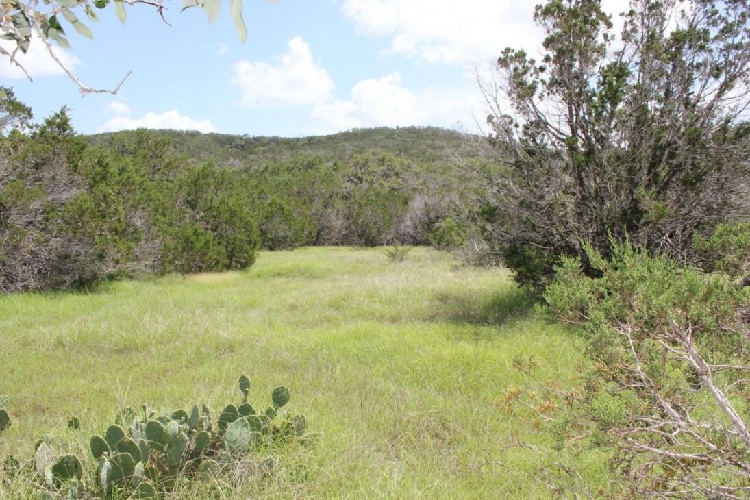 Tarpley Ranch for Sale in Tarpley, TX Medina County Farm & Ranch