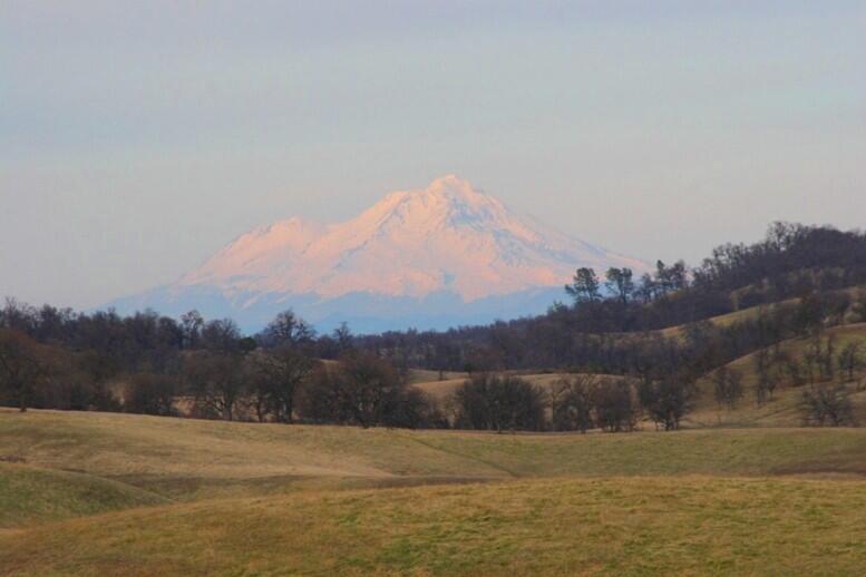 Elder Creek Ranch for Sale in Rancho Tehama Reserve, CA Tehama County