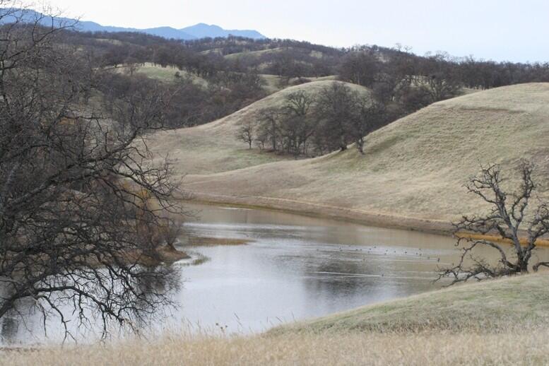 Elder Creek Ranch for Sale in Rancho Tehama Reserve, CA Tehama County