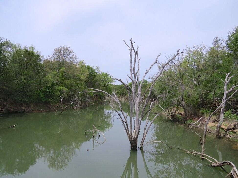 Deer Creek Ranch for Sale in Thurber, TX Erath County Farm & Ranch