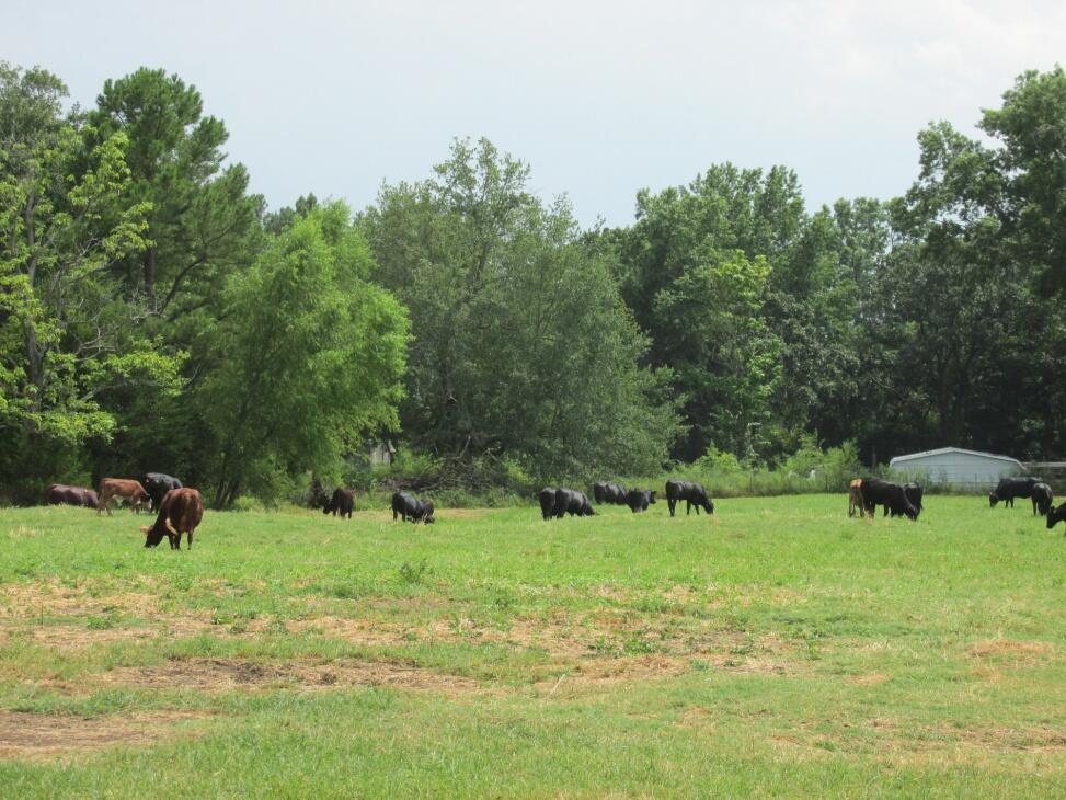 Red Oak 63jc for Sale in Red Oak, OK Latimer County Farm & Ranch