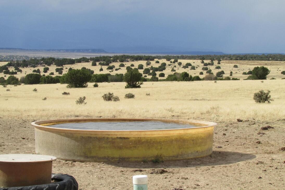 Medina River Ranch for Sale in Rio Medina Farm & Ranch