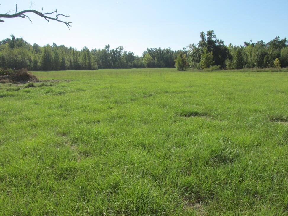 Crooked Creek Ranch 211jc for Sale in Spencerville, OK Pushmataha