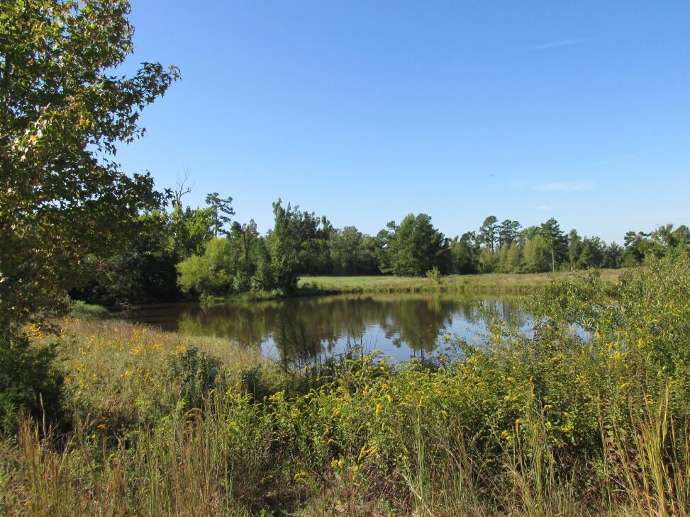 Crooked Creek Ranch 211jc for Sale in Spencerville, OK Pushmataha