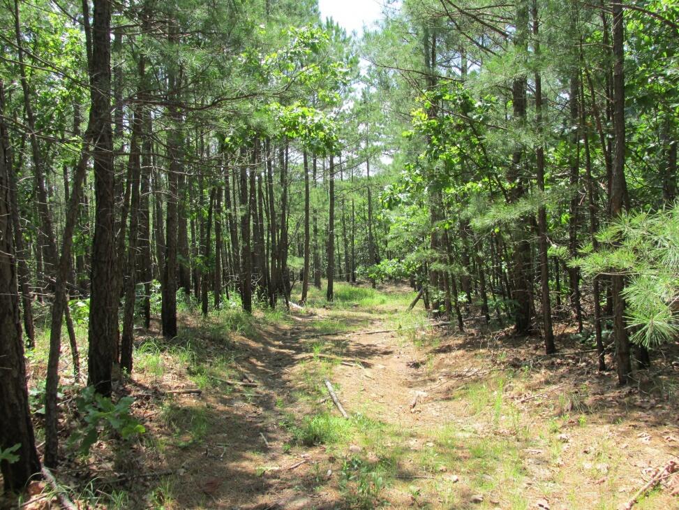 Eight Mile Mountain 170jc for Sale in Talihina, OK Latimer County