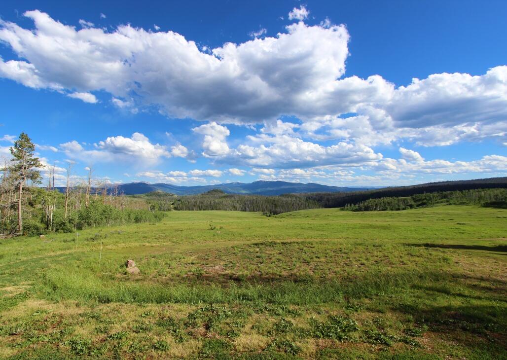 Aspen Ridge Ranch for Sale in Kremmling, CO Grand County Farm & Ranch