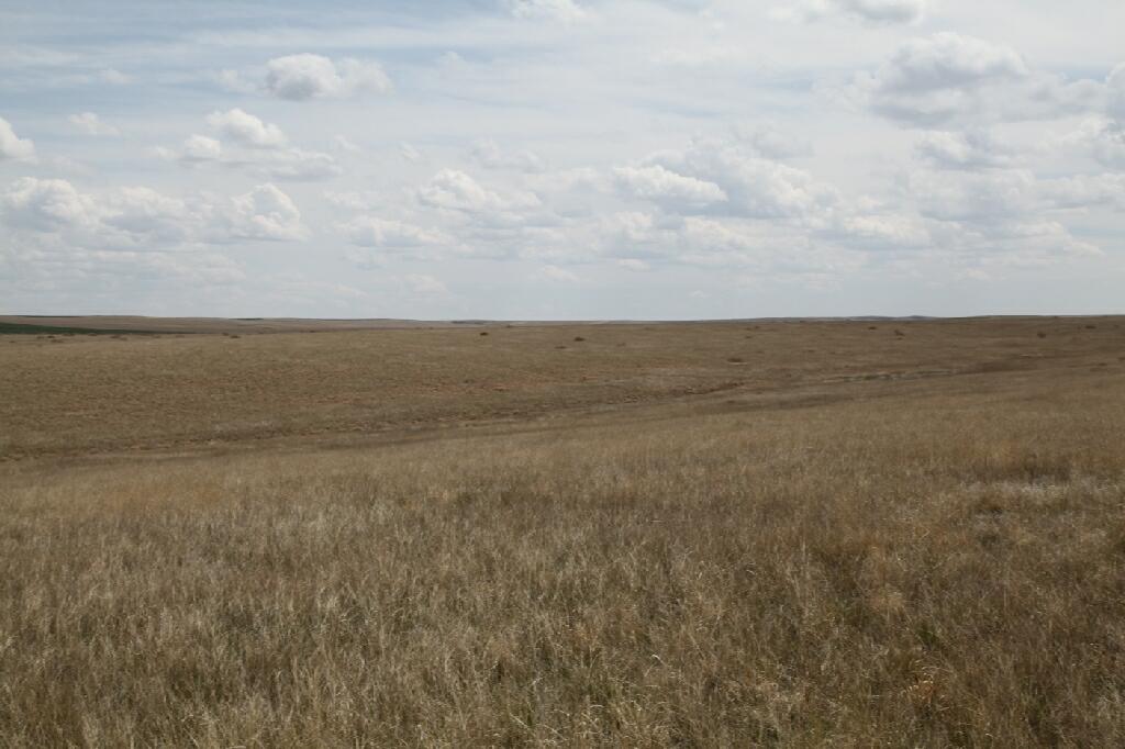 Expiring CRP & Pasture Land for Sale in Fort CO Adams County