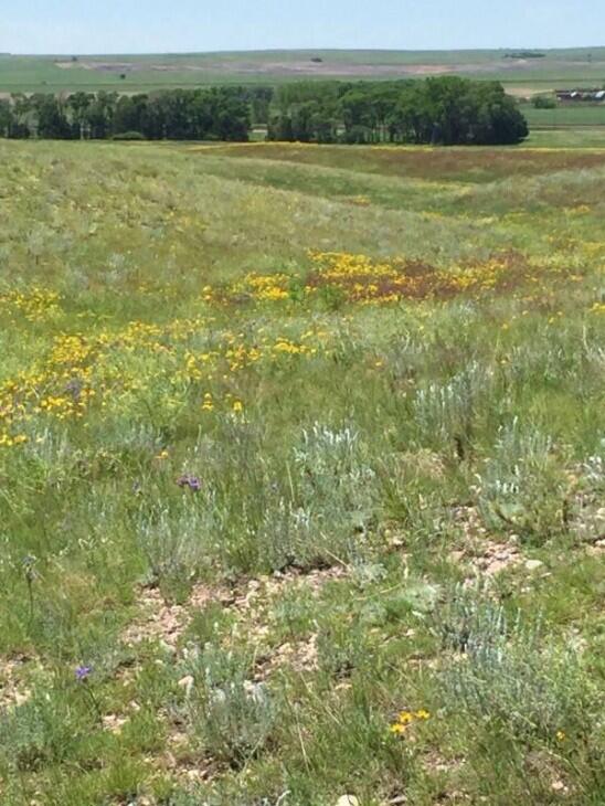 Living Springs Ranch Chappell, NE Deuel County Land for Sale