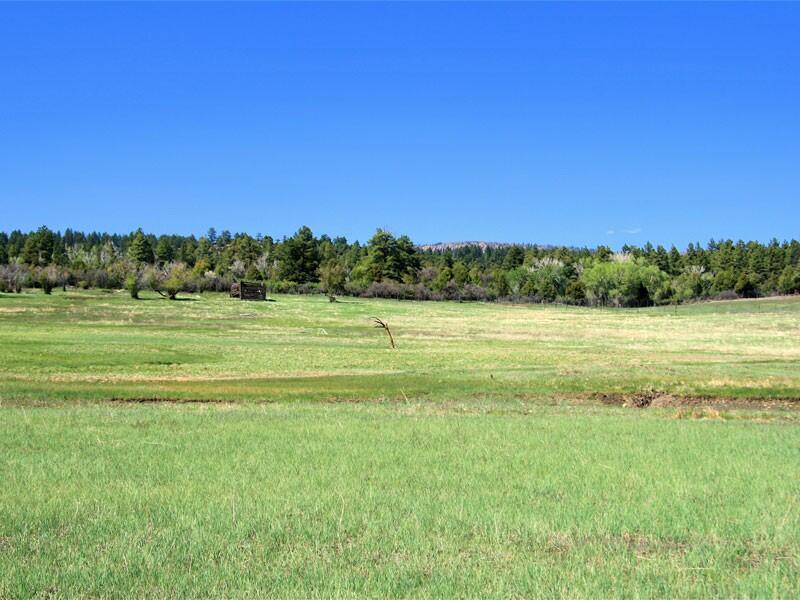 Baldwin Ranch Mancos Land for Sale Farm & Ranch