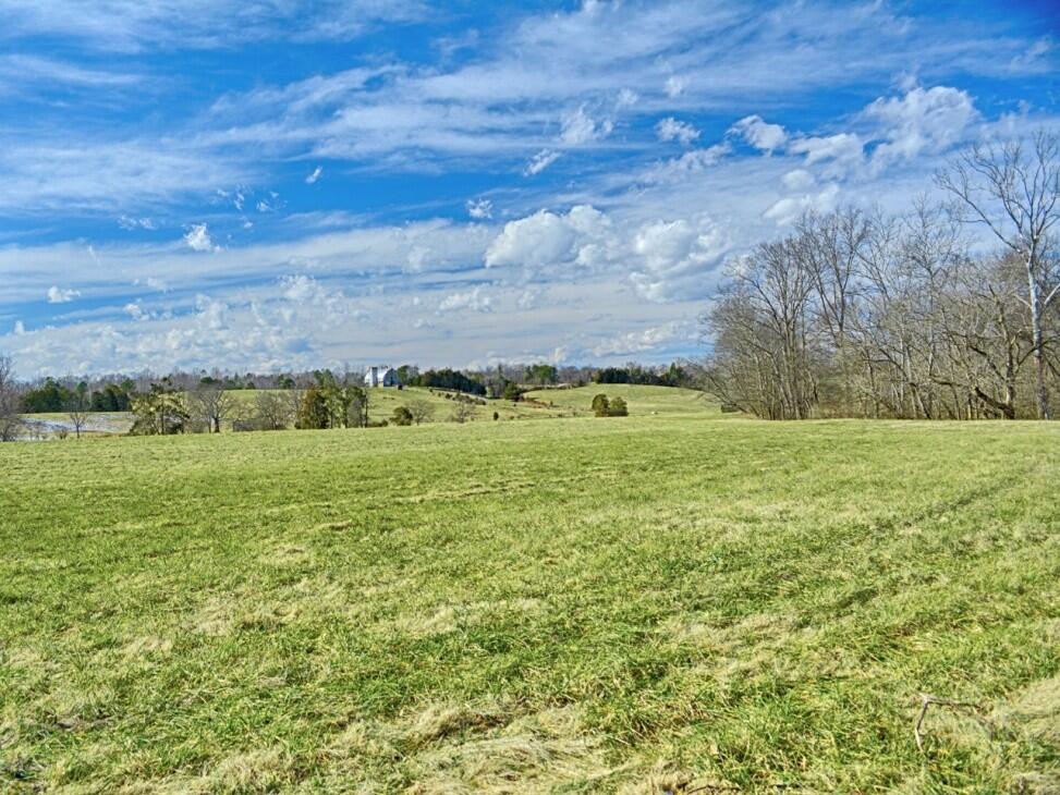 Rappahannock River Farm Elkwood, VA Culpeper County Land for Sale
