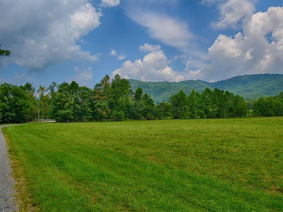 Rapidan River Frontage for Sale in Graves Mill, VA Madison County