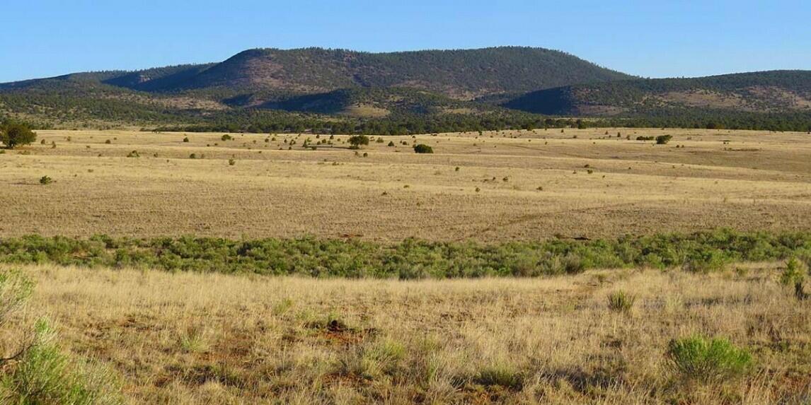 Luera Ranch for Sale in Magdalena, NM Catron County Farm & Ranch