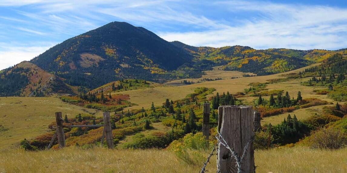Moonshine Ranch for Sale in La Veta, CO Huerfano County Farm & Ranch