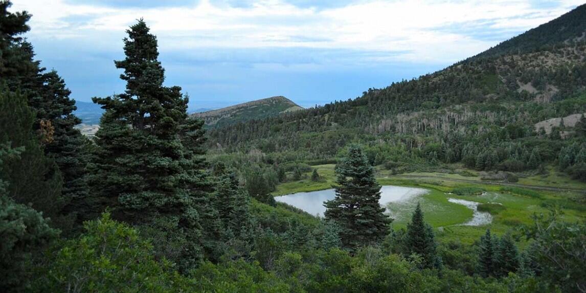 Moonshine Ranch for Sale in La Veta, CO Huerfano County Farm & Ranch