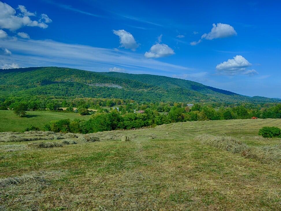 Expansive Blue Ridge Mountain Views for Sale in Afton, VA Albemarle County Farm & Ranch