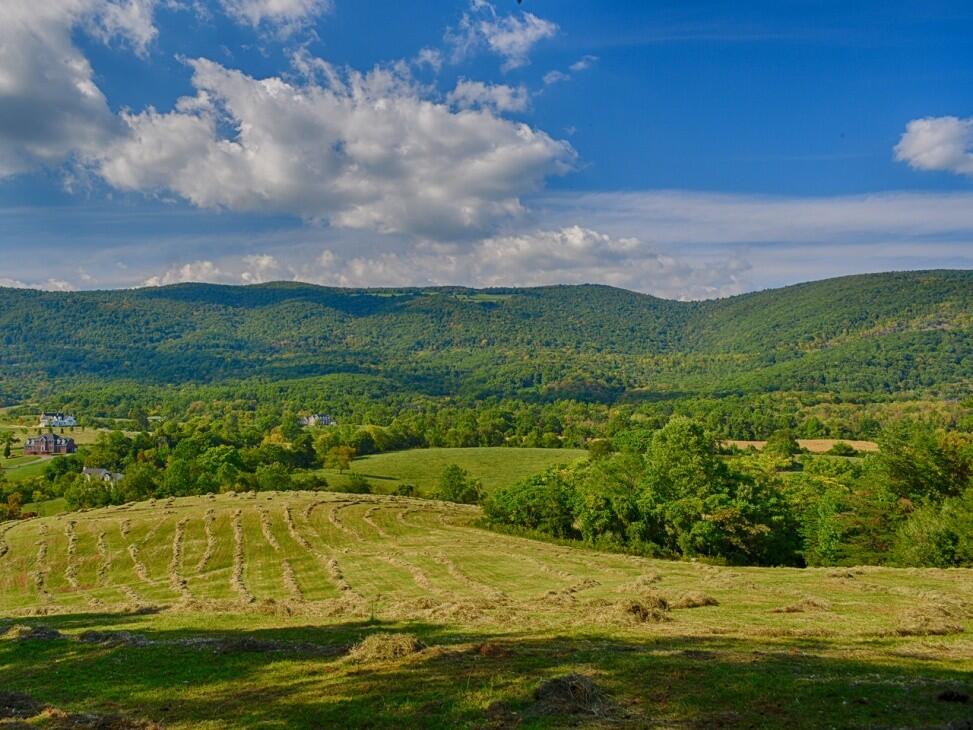 Expansive Blue Ridge Mountain Views for Sale in Afton, VA Albemarle County Farm & Ranch