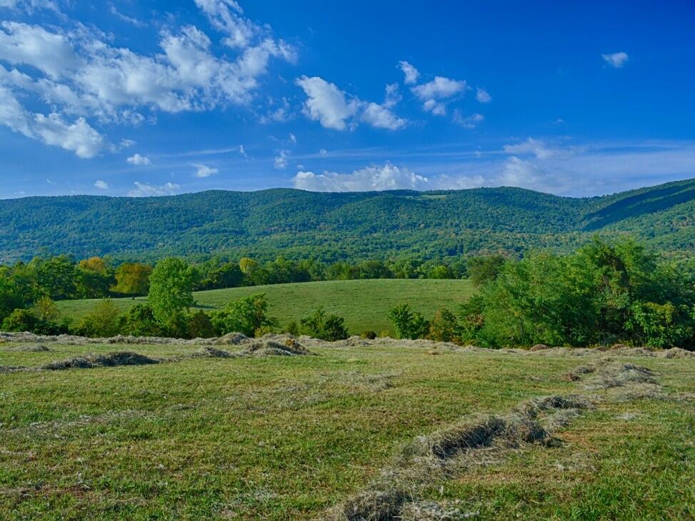 Expansive Blue Ridge Mountain Views for Sale in Afton, VA Albemarle County Farm & Ranch
