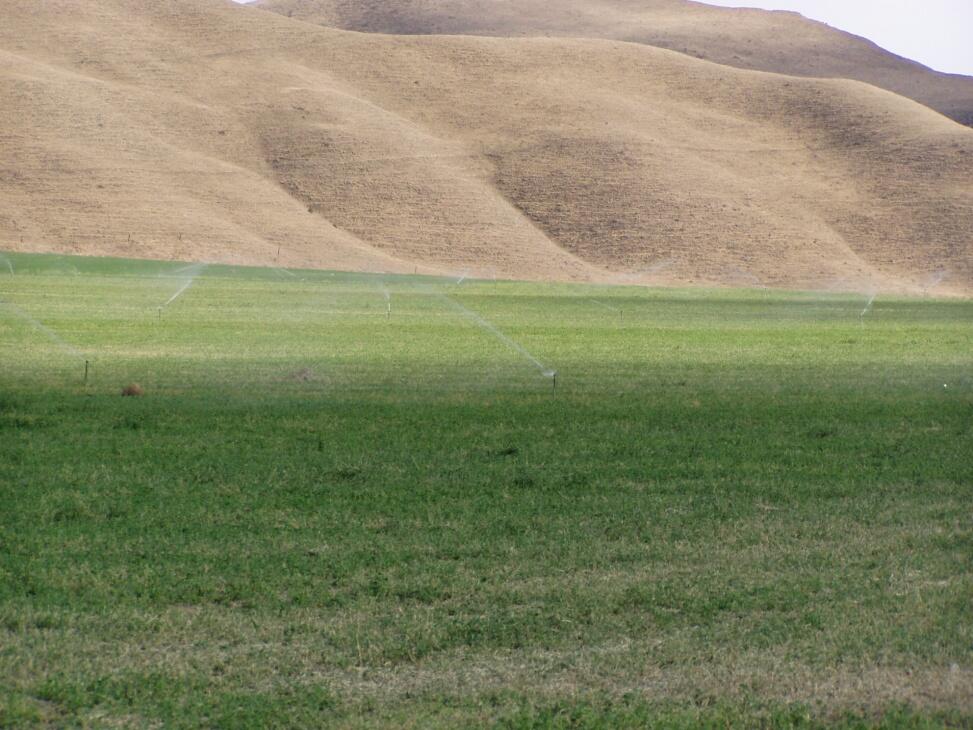 Halpin Ranch for Sale in Shandon Farm & Ranch