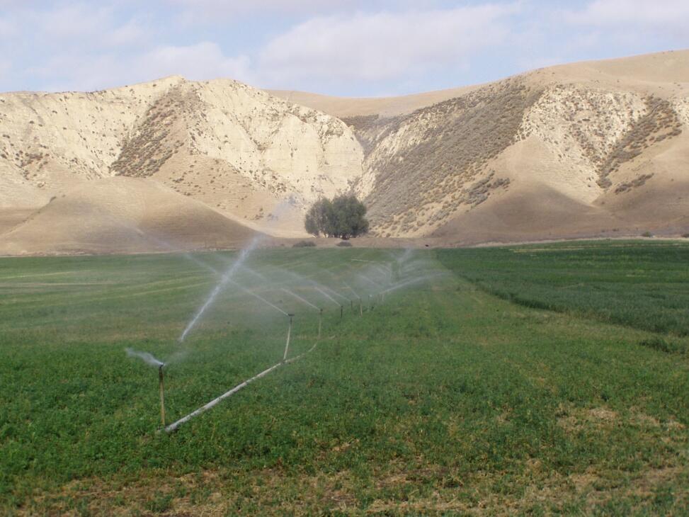 Halpin Ranch for Sale in Shandon Farm & Ranch