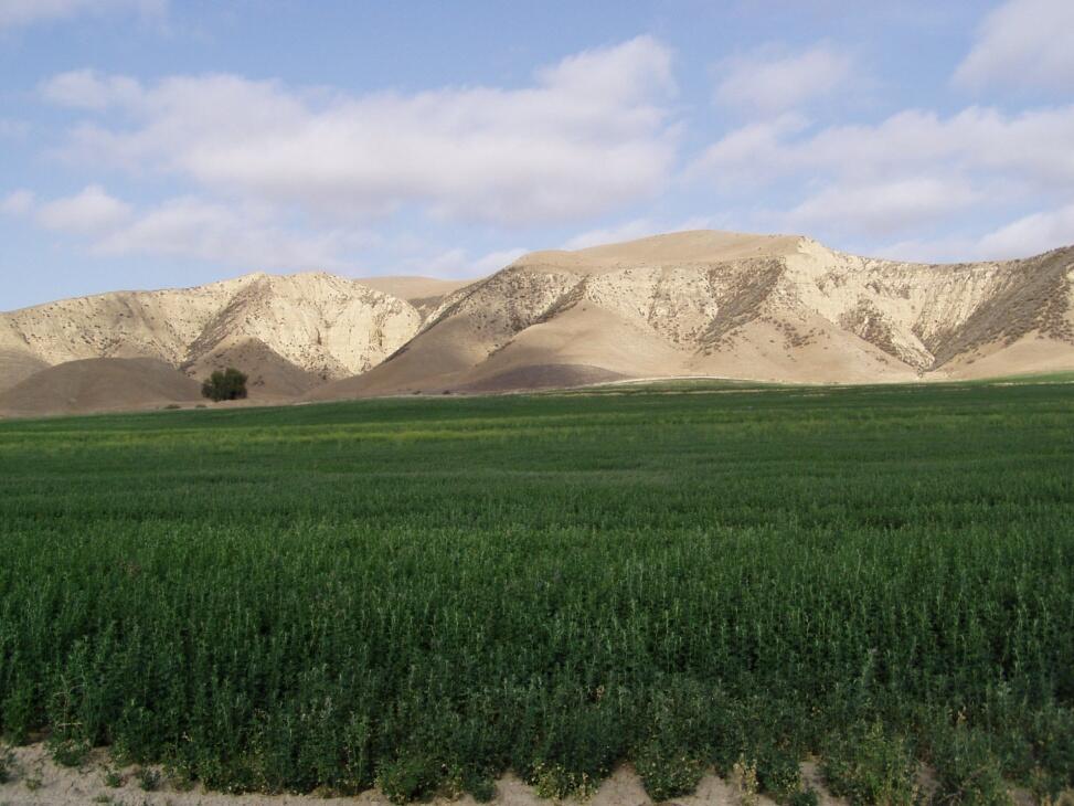 Halpin Ranch for Sale in Shandon Farm & Ranch