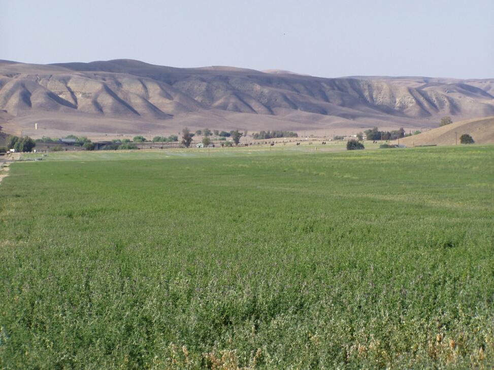 Halpin Ranch for Sale in Shandon Farm & Ranch